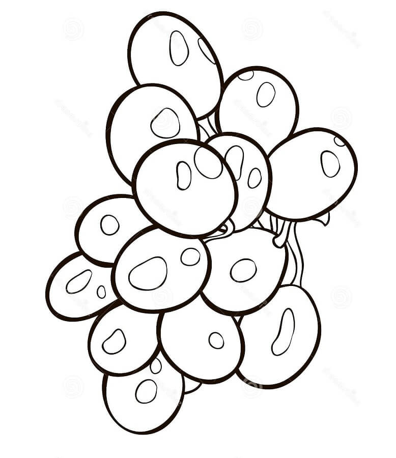 Desenho de Lindo Cacho de Uva Download para Imprimir e Colorir