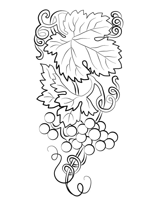 Desenho de Uva Grátis para Colorir