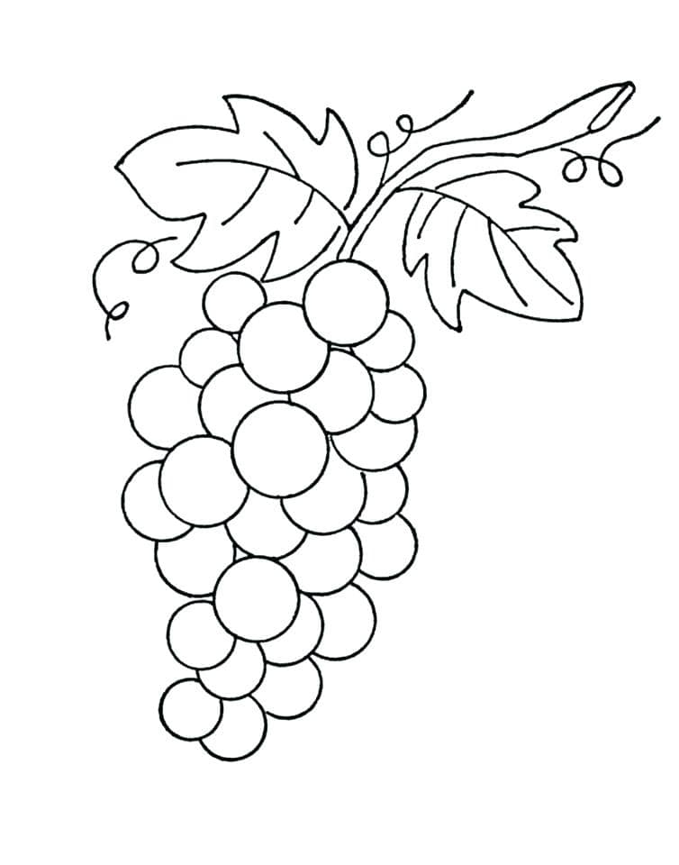 Desenho de Uva Imprimivel para Imprimir e Colorir