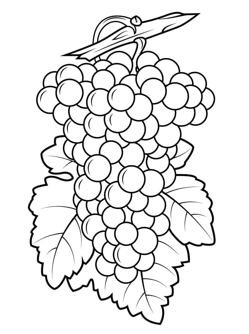 Desenho de Uva para Colorir Download