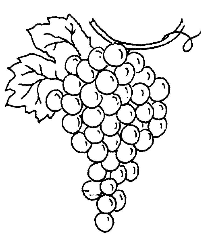Desenho de Uva para Colorir Pdf Grátis