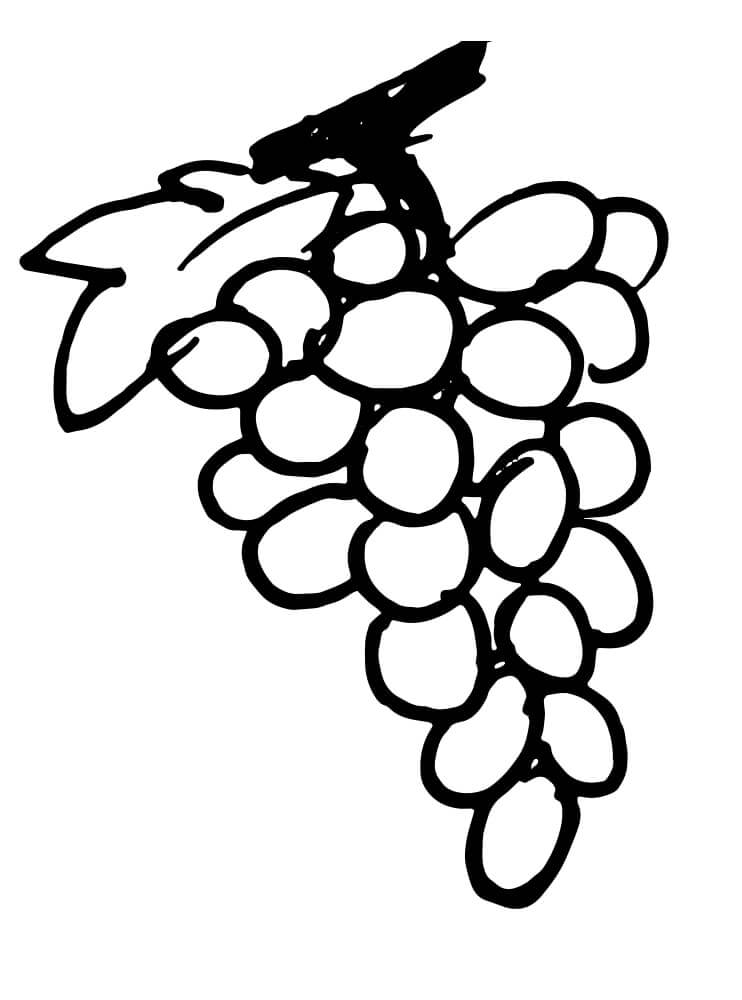 Desenho de Uva para Imprimir Download