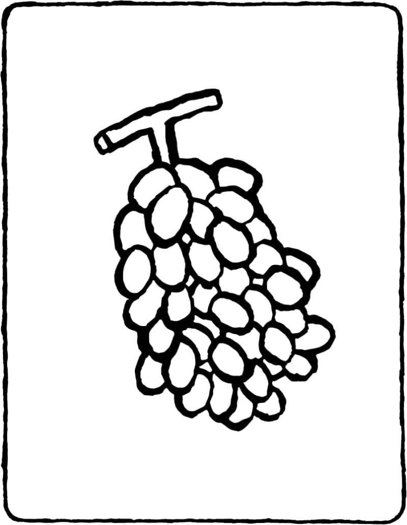 Desenho de Uva para Pintar Download
