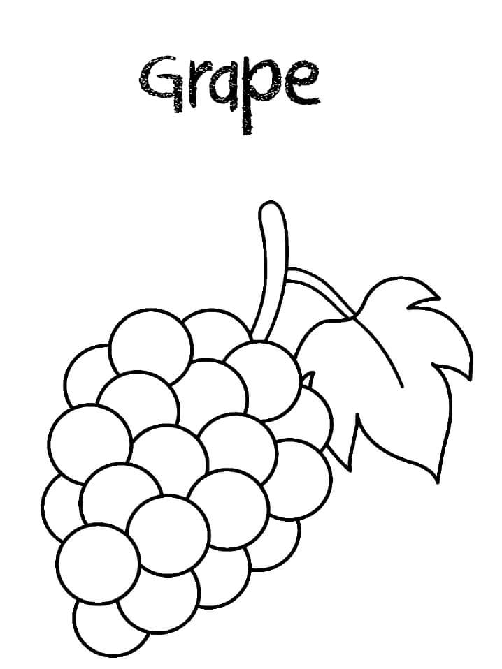 Desenho de Uva para Pintar Imprimivel