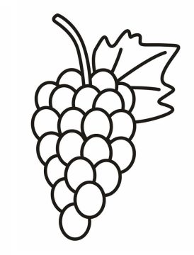 Desenho de Uva para Pintar Pdf grátis
