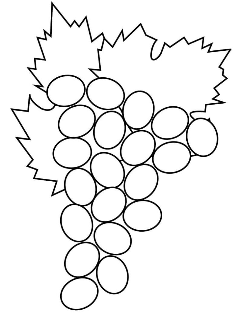 Desenho de Uva Pdf para Colorir Grátis