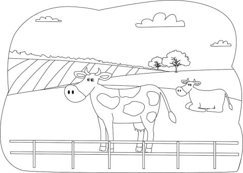 Desenho Duas Vacas para Colorir