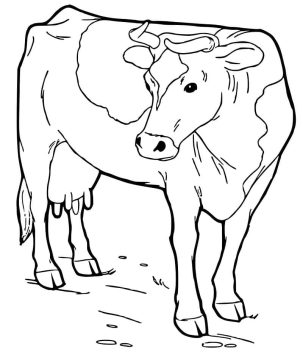Desenho Uma Vaca para Colorir
