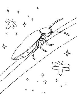 Desenho de Vagalume grátis para Colorir