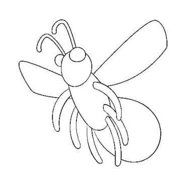 Desenho de Vagalume Simples para Colorir