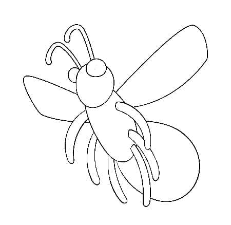 Desenho de Vagalume Simples para Colorir