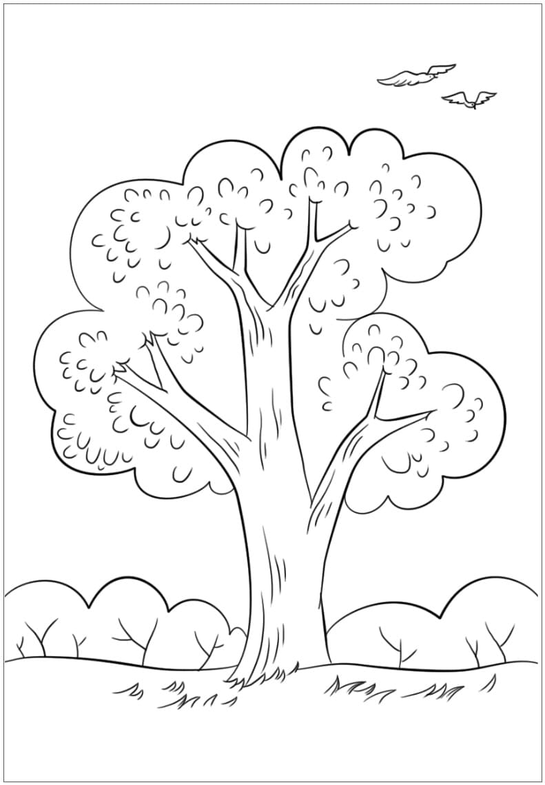 Desenho de Árvore de Verão para Colorir