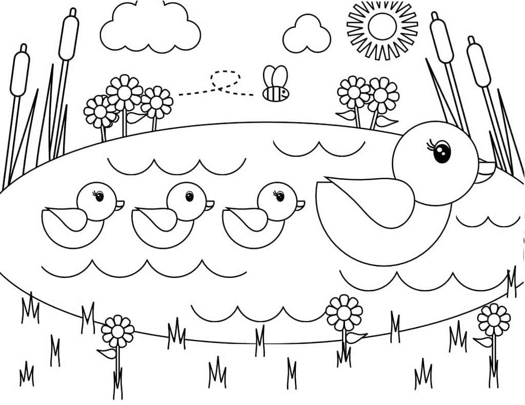 Desenho de Patos de Verão para Colorir