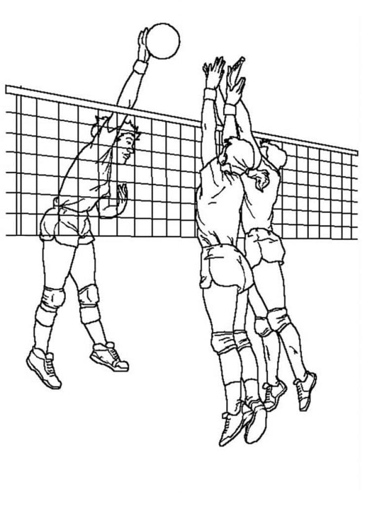 Desenho de Partida de Vôlei para Colorir