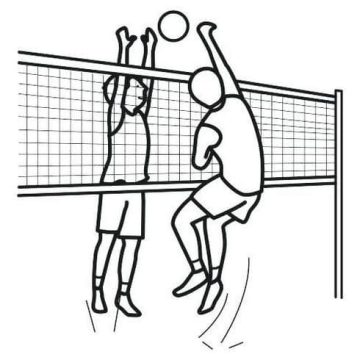 Desenho de vôlei Pdf para Imprimir e Colorir