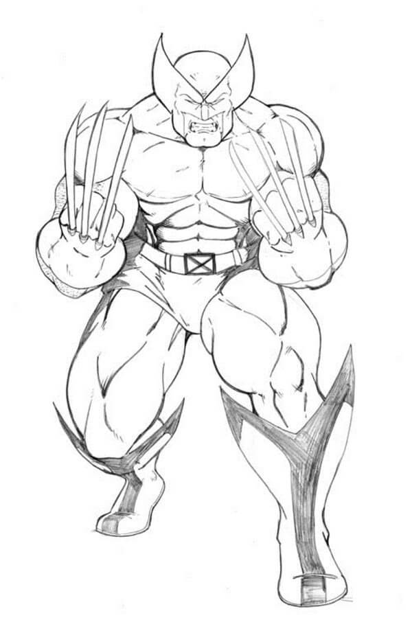 Desenho de Wolverine em Ação para Colorir Download
