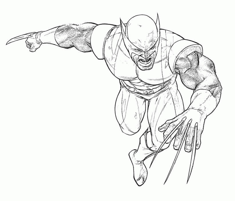 Desenho de Wolverine Hq para Colorir Imprimivel