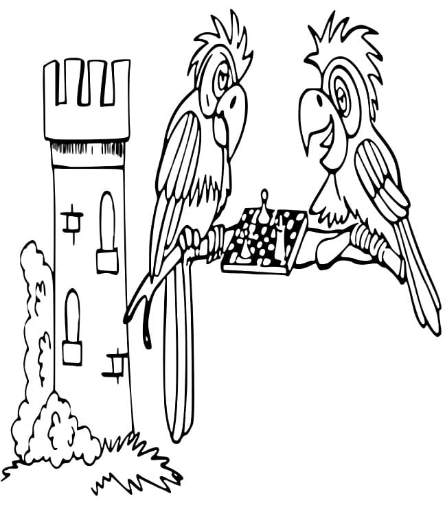 Desenho de Papagaios Jogam Xadrez para Colorir