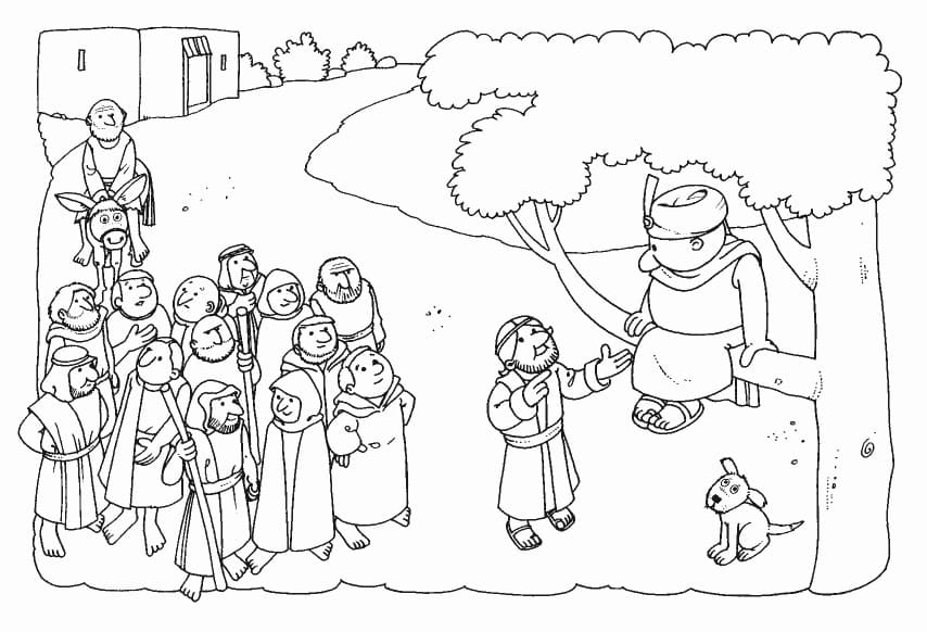 Desenho de Zaqueu Árvore Bíblica para Colorir Download