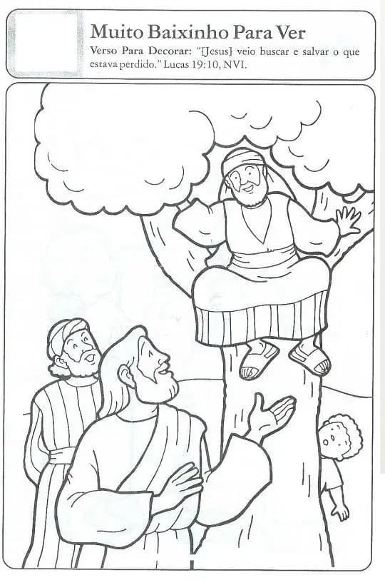 Desenho de Zaqueu Bíblico para Colorir Pdf