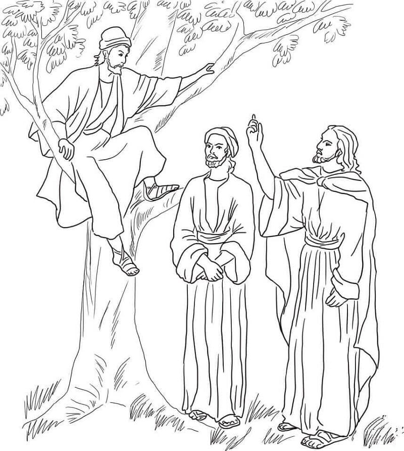 Desenho de Zaqueu Crianças para Colorir Pdf