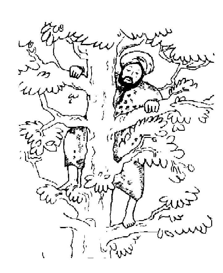 Desenho de Zaqueu Encontrando Jesus para Colorir Download
