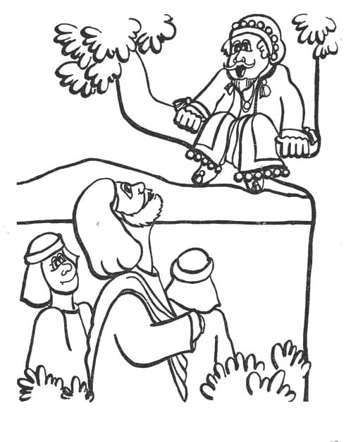 Desenho de Zaqueu História Bíblica para Colorir Download
