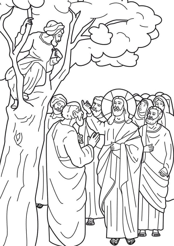Desenho de Zaqueu para Colorir em Casa Imprimivel