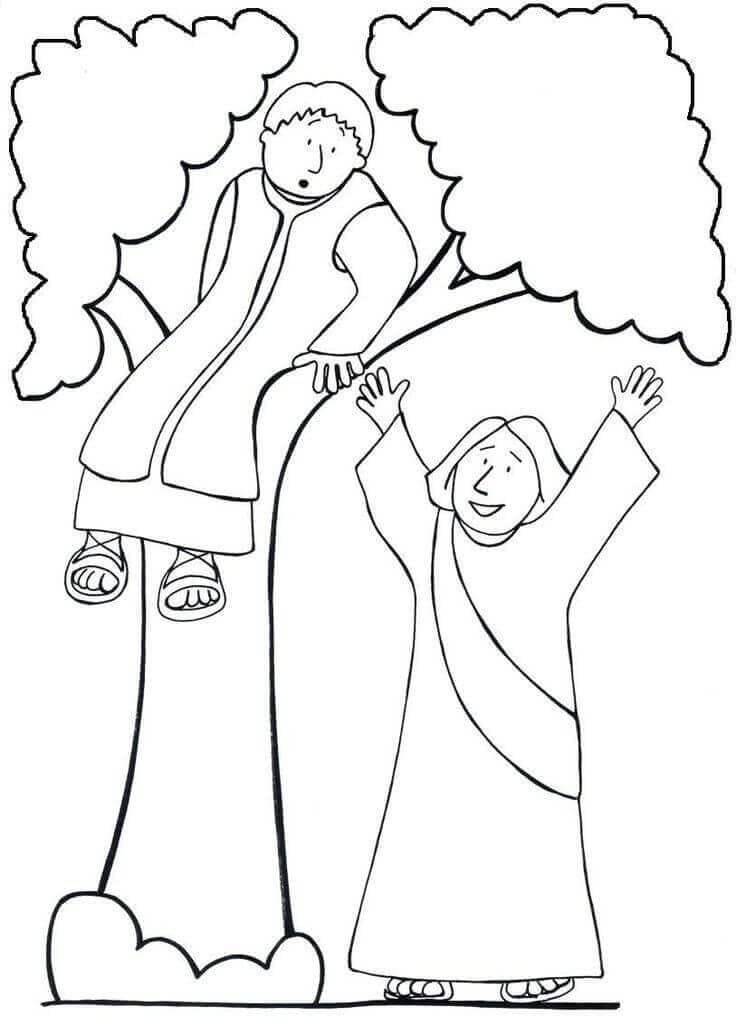 Desenho de Zaqueu Subindo na Árvore para Imprimir Imprimivel