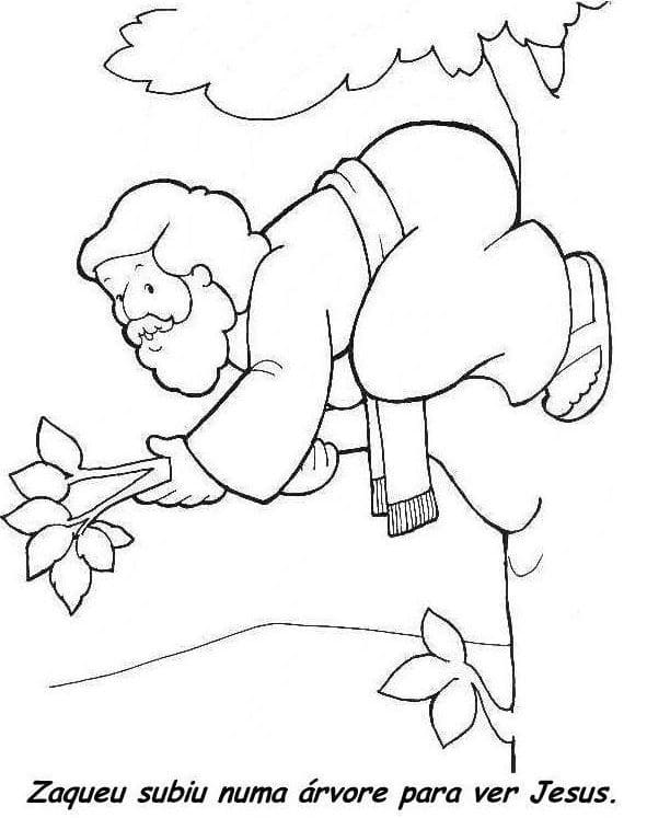 Desenho de Zaqueu Subiu na Árvore para Colorir Baixar