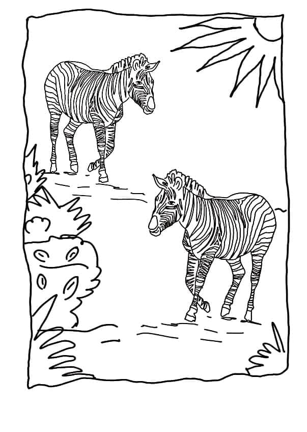 Desenho de Duas Zebras para Colorir