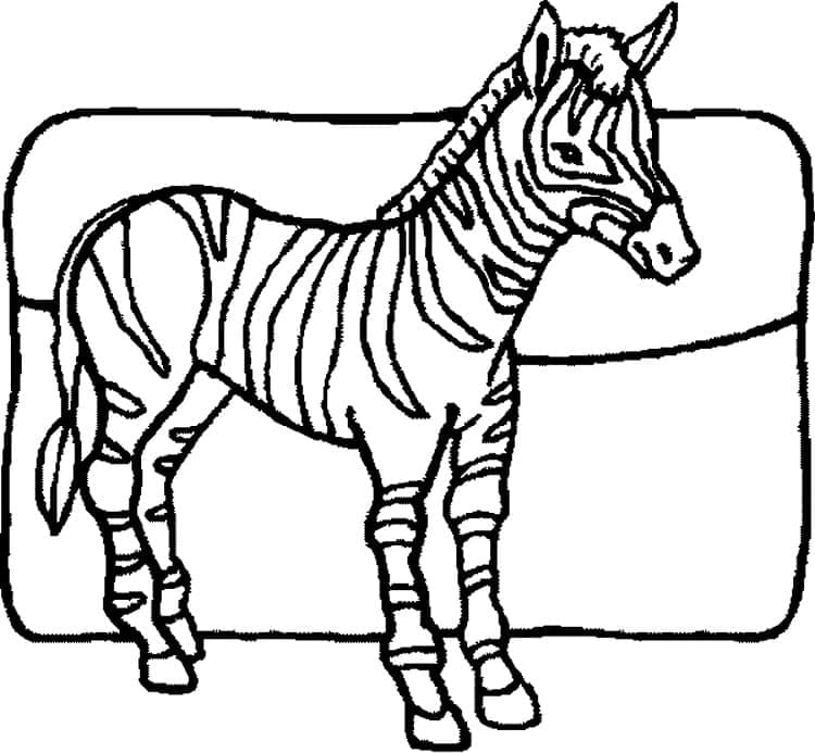 Desenho de Imprimivel Zebra para Colorir