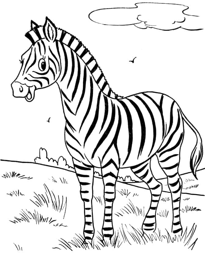 Desenho de Linda Zebra para Colorir