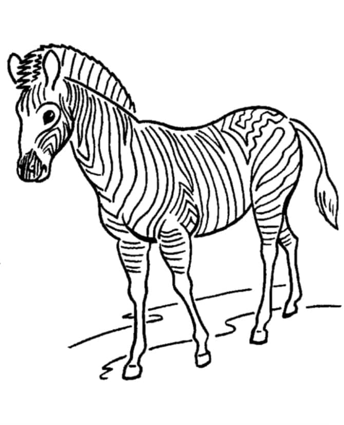 Desenho de uma Zebra para Colorir