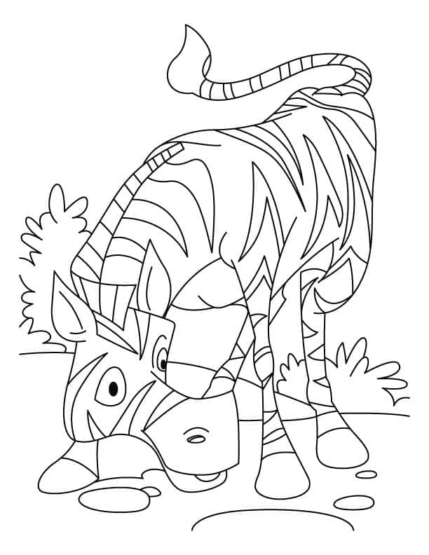 Desenho de Zebra Engracada para Colorir