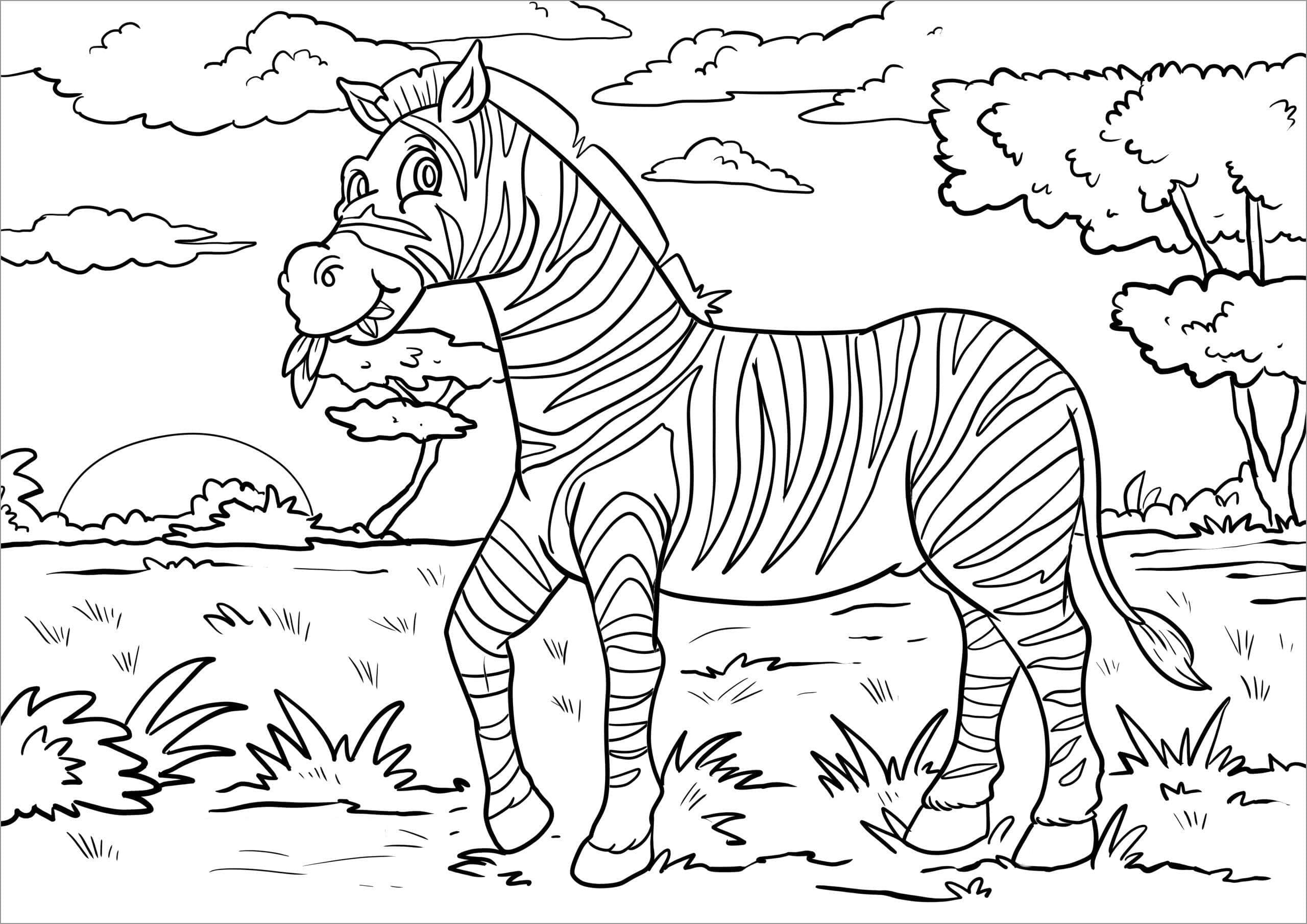 Desenho de Zebra Imprimivel para Colorir
