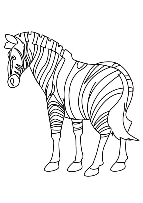 Desenho de Zebra Normal para Colorir