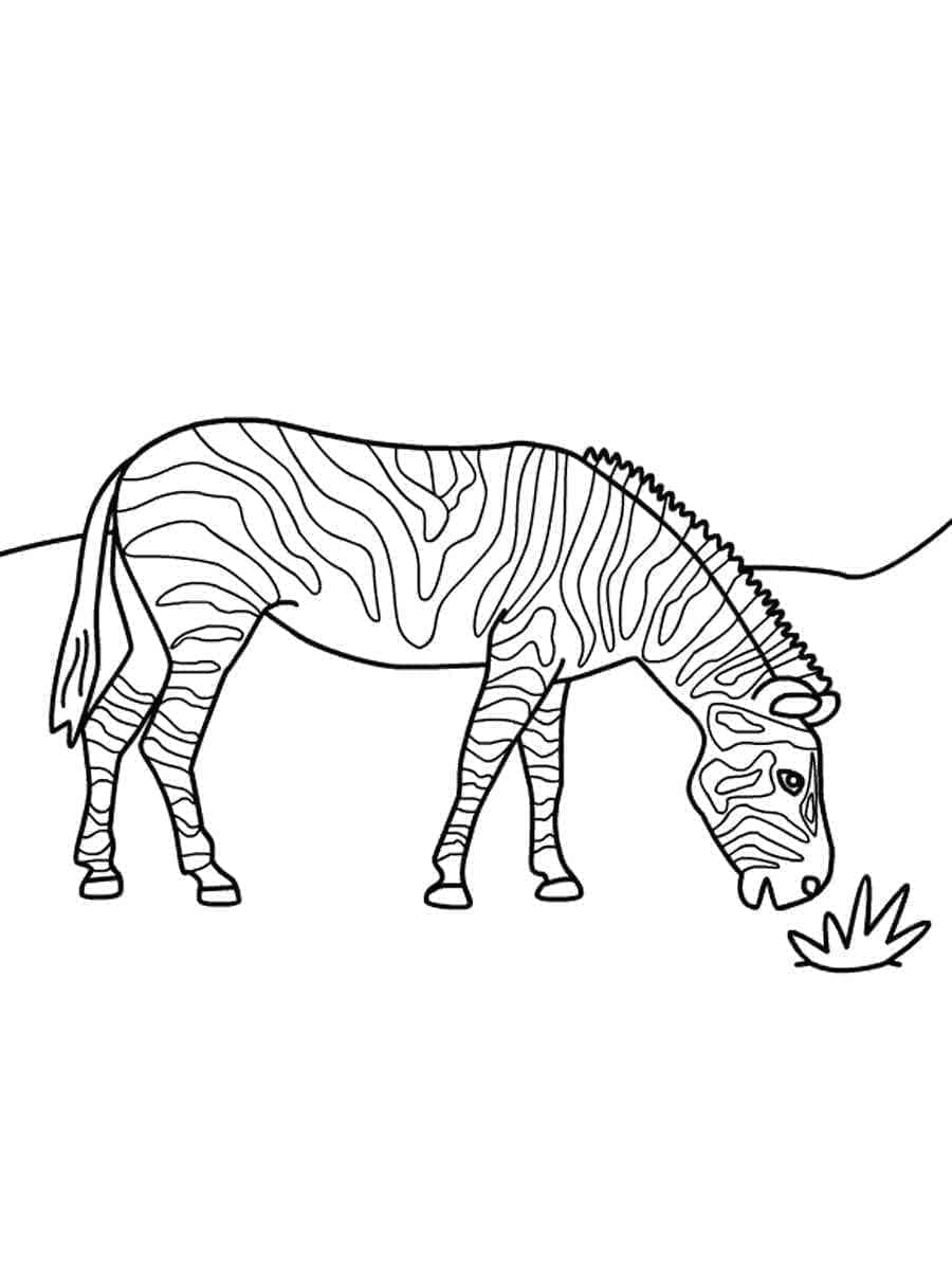Desenho de Zebra para Crianças para Colorir