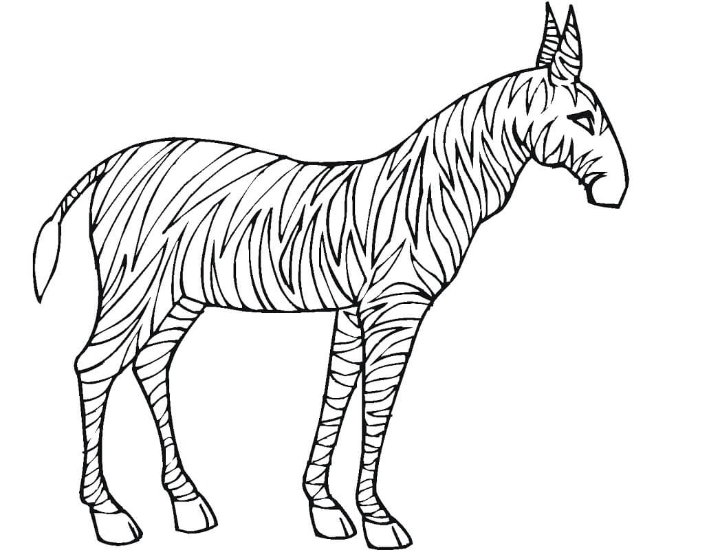 Desenho de Zebra Imprimivel para Imprimir e Colorir