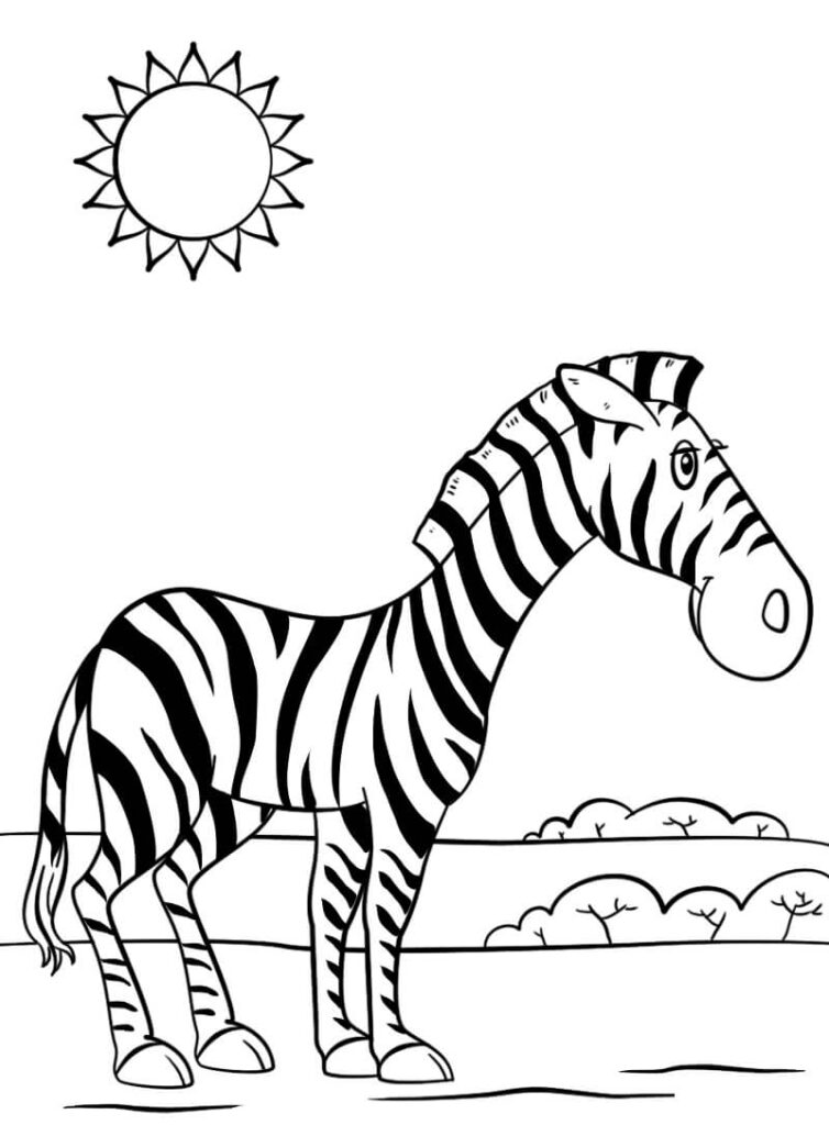 Desenho de Zebra Pdf para Colorir