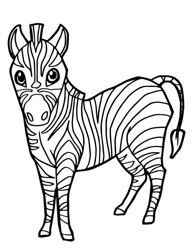 Desenhos de Zebras para Colorir