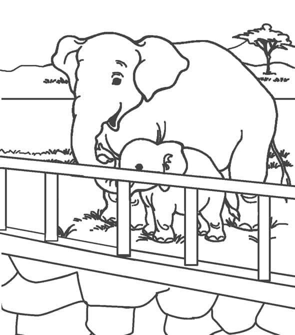 Desenho de Zoológico Elefantes para Imprimir Grátis
