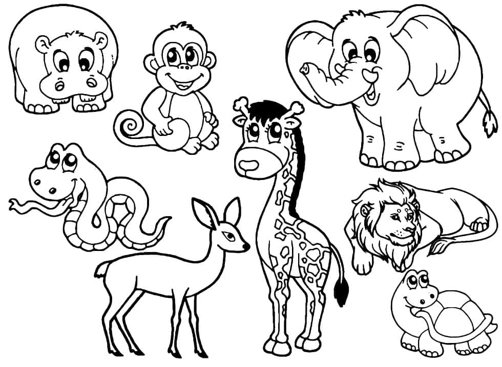 Desenho de Zoológico para Colorir e Baixar Download