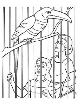Desenho de zoológico para Colorir em casa