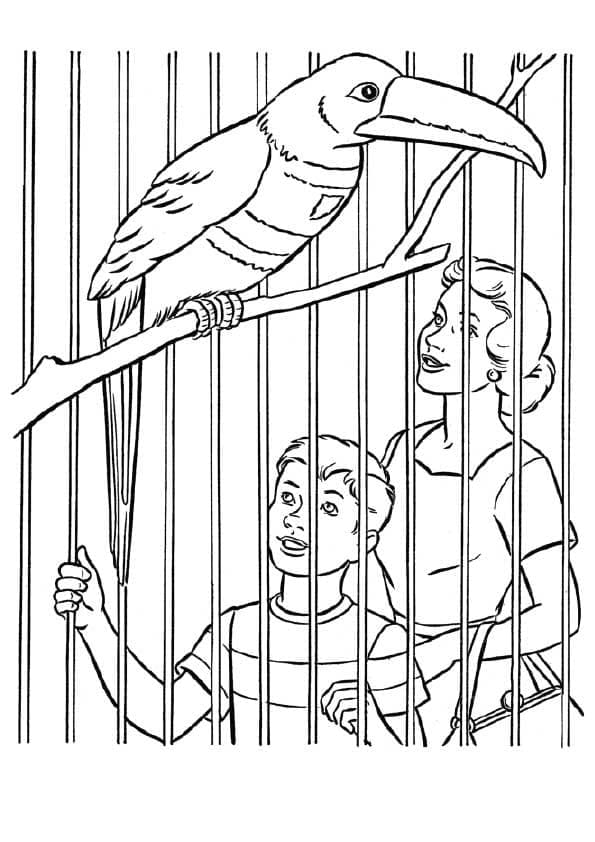 Desenho de Zoológico para Colorir em Casa