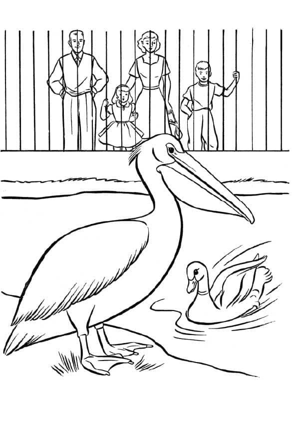 Desenho de Zoológico para Colorir Imprimivel