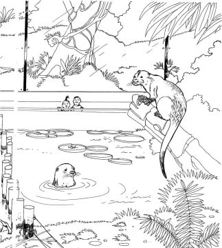 Desenho de zoológico para Colorir Pdf