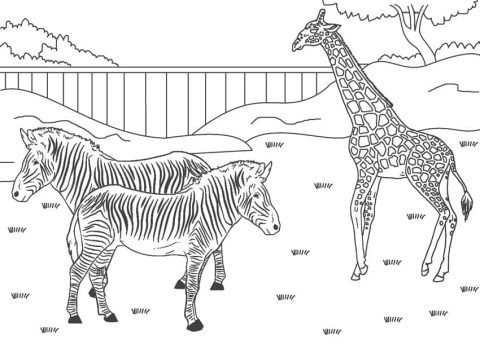 Desenho de zoológico para Imprimir Imprimível